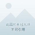 无限黄金时代